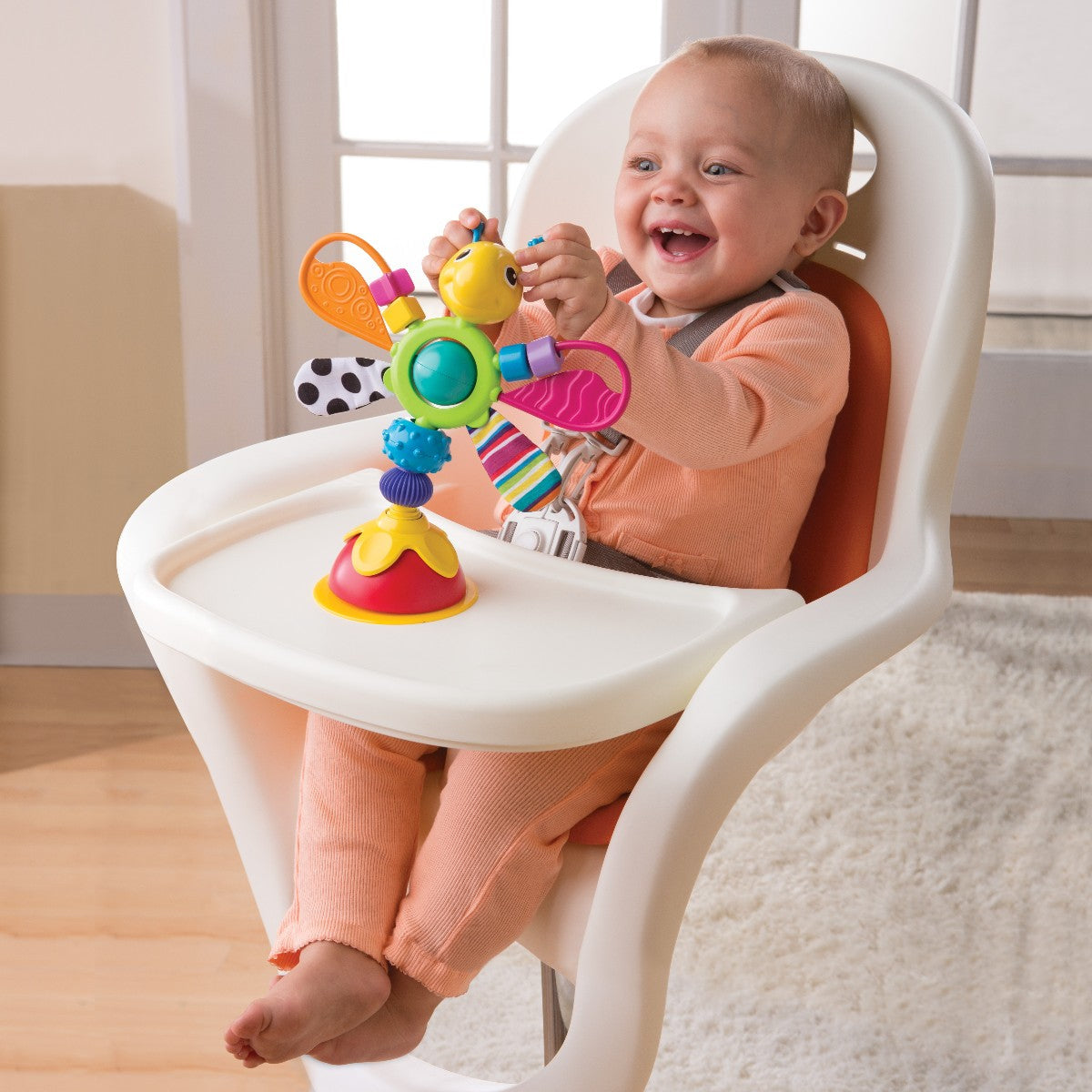 Lamaze, Freddie sugekopp rangle