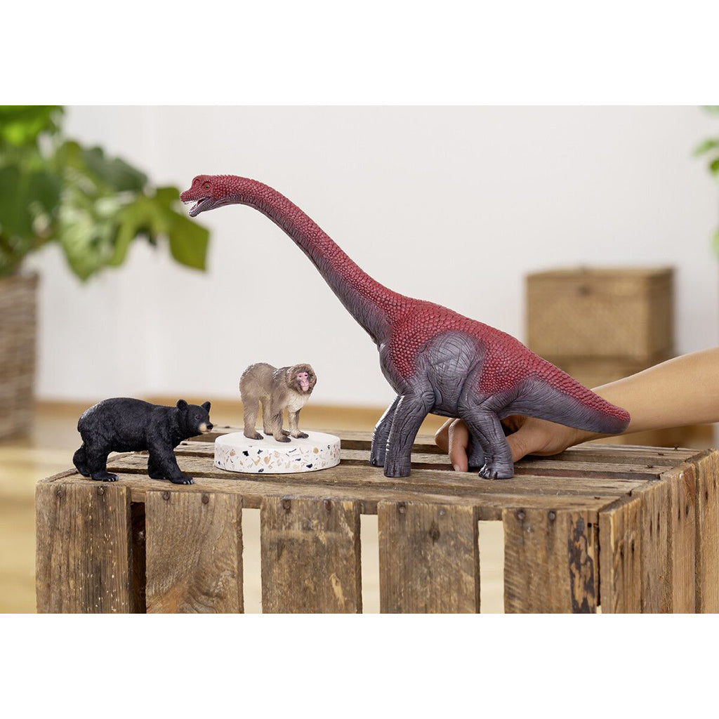 Schleich figurer: sort bjørn, abe, Brachiosaurus dinosaur på trækasse