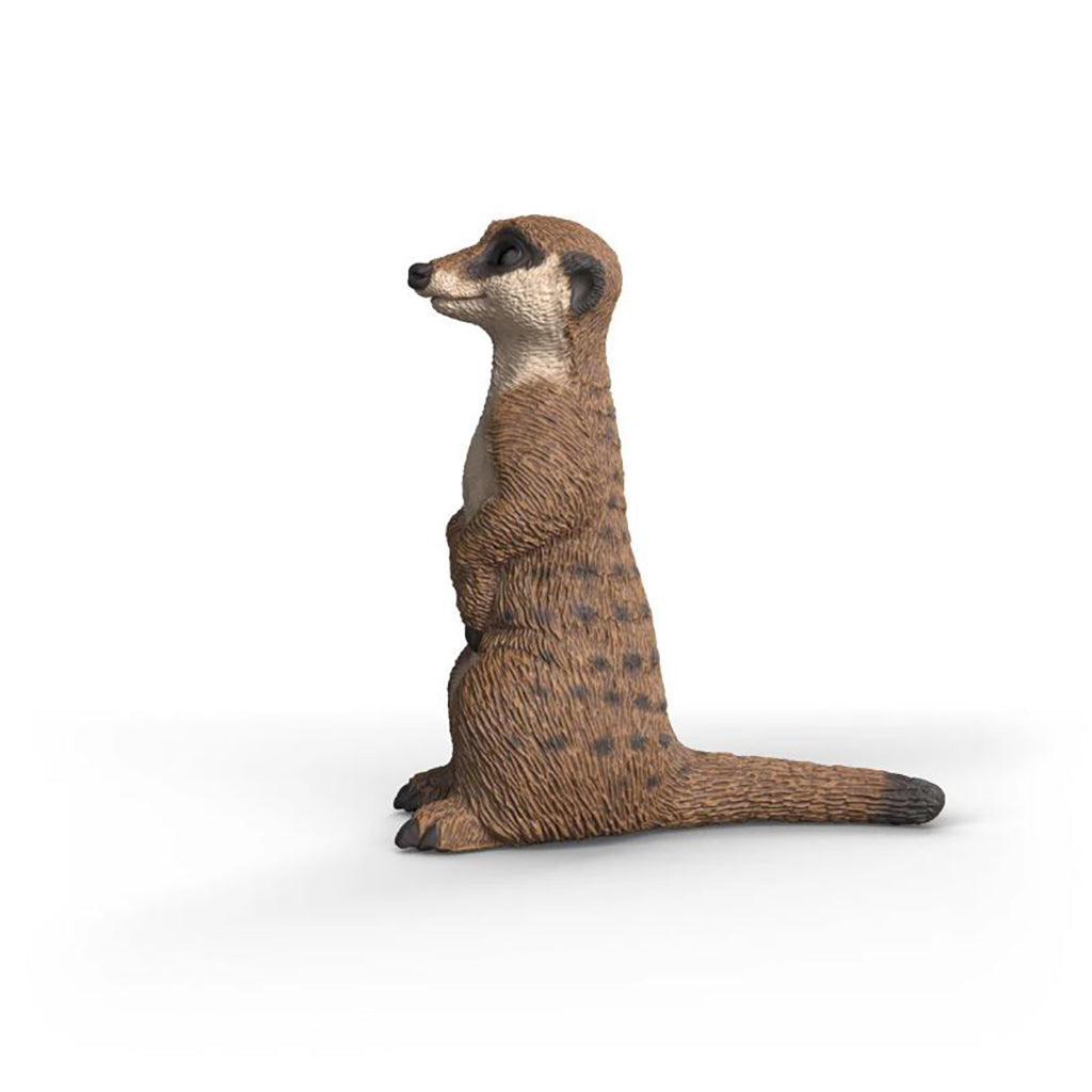Schleich Surikat