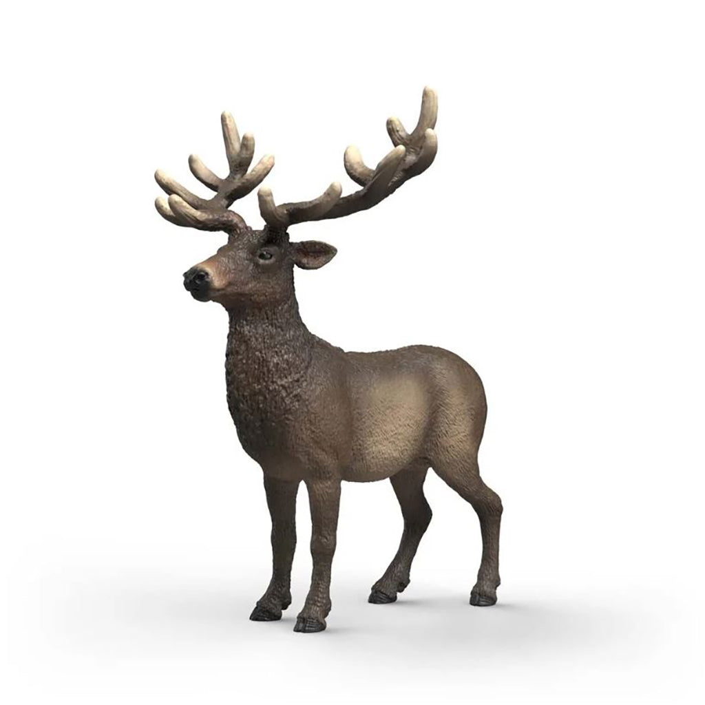 Schleich amerikansk kronhjort
