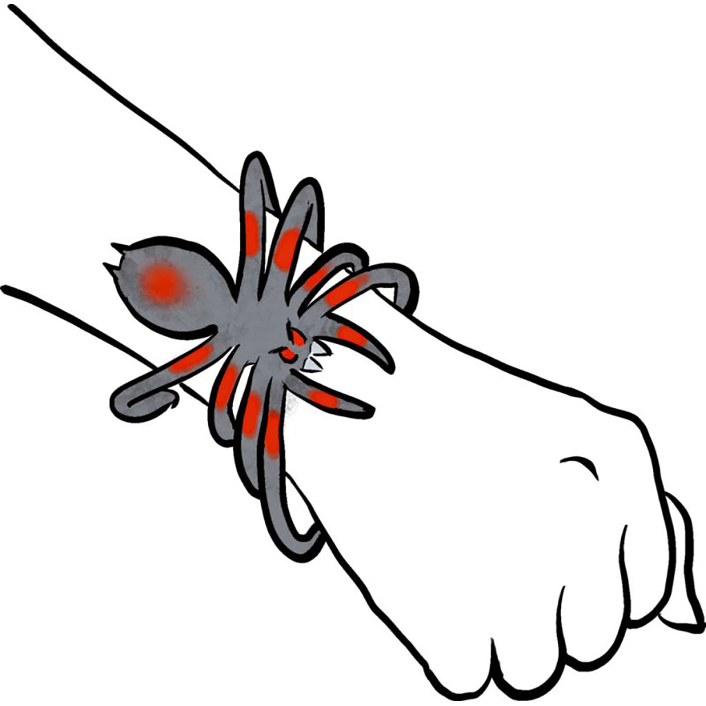 Wild+ cool, Gummi edderkopp – assorterte farger