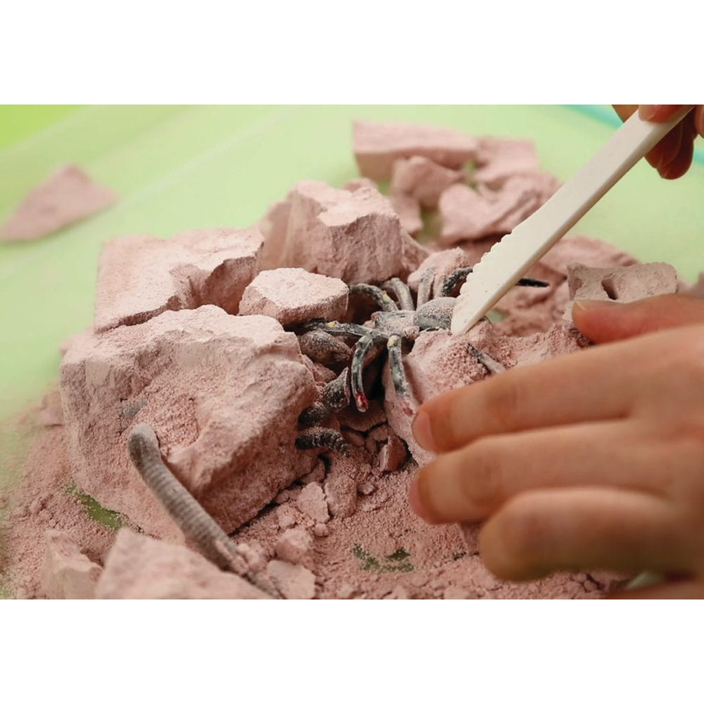 4M KidzLabs, eksperimentsett - Creepy crawly digging kit