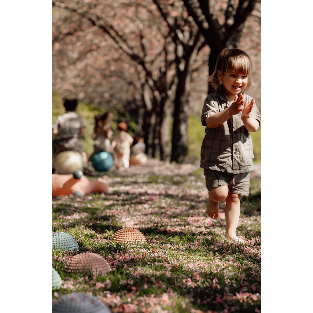 Find that Hipp, Sansesten, sett med 4 stk – Soloppgang