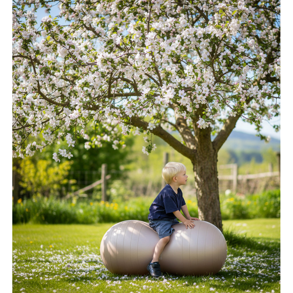Oppdag den Hippo peanutformede balanseballen, Mørk grå