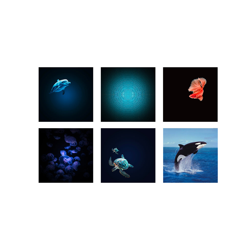 Kidystar, Roterende billedprojektor – Ocean-/havtema
