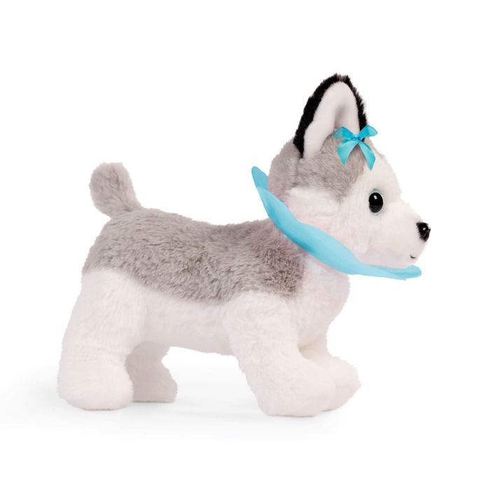 Pucci Pups Husky hos veterinæren