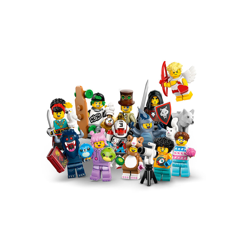 LEGO® Minifigurer serie 27