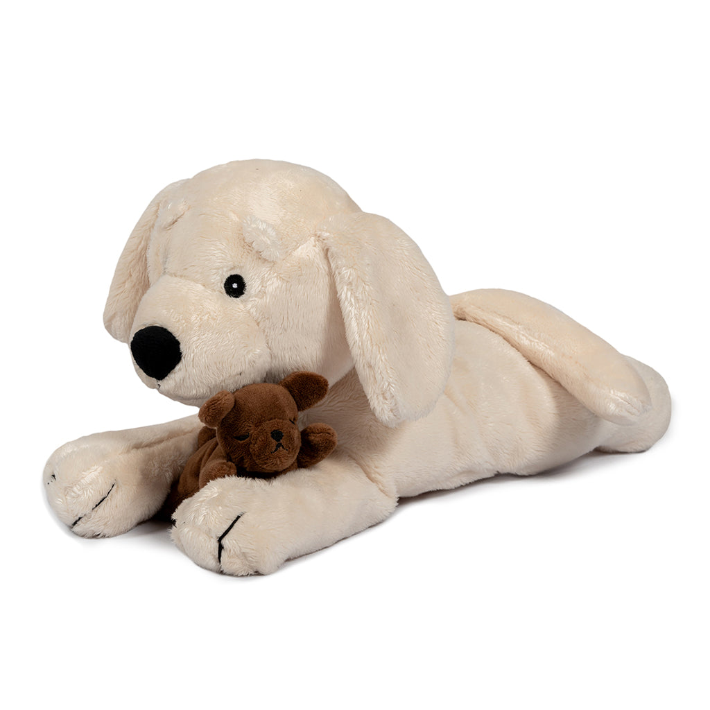 By Astrup plys hund med valper