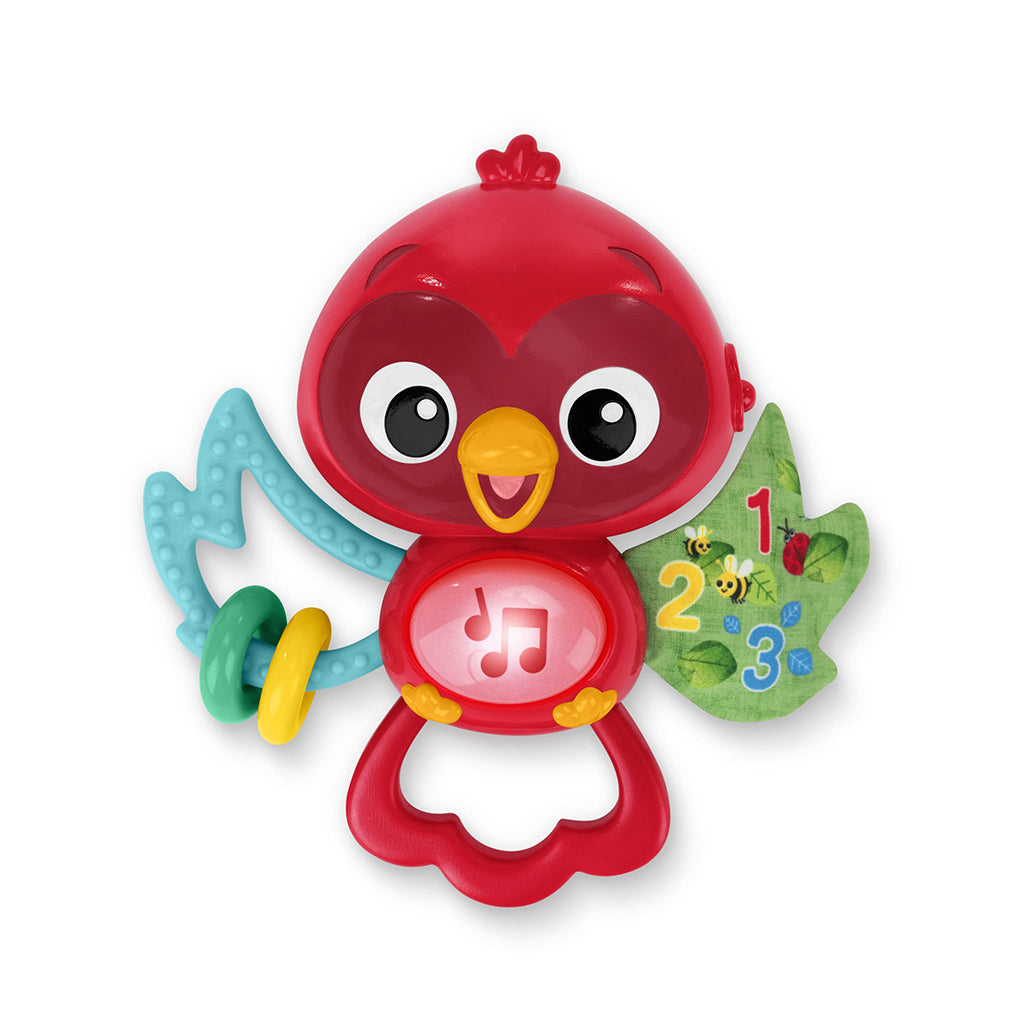 BABY Einstein aktivitetsleketøy med oppheng, Roxy&