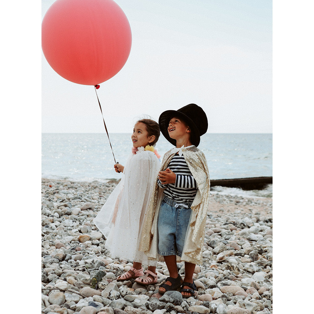 Marvins Magic tryllesett, Rabbit & Top hatt