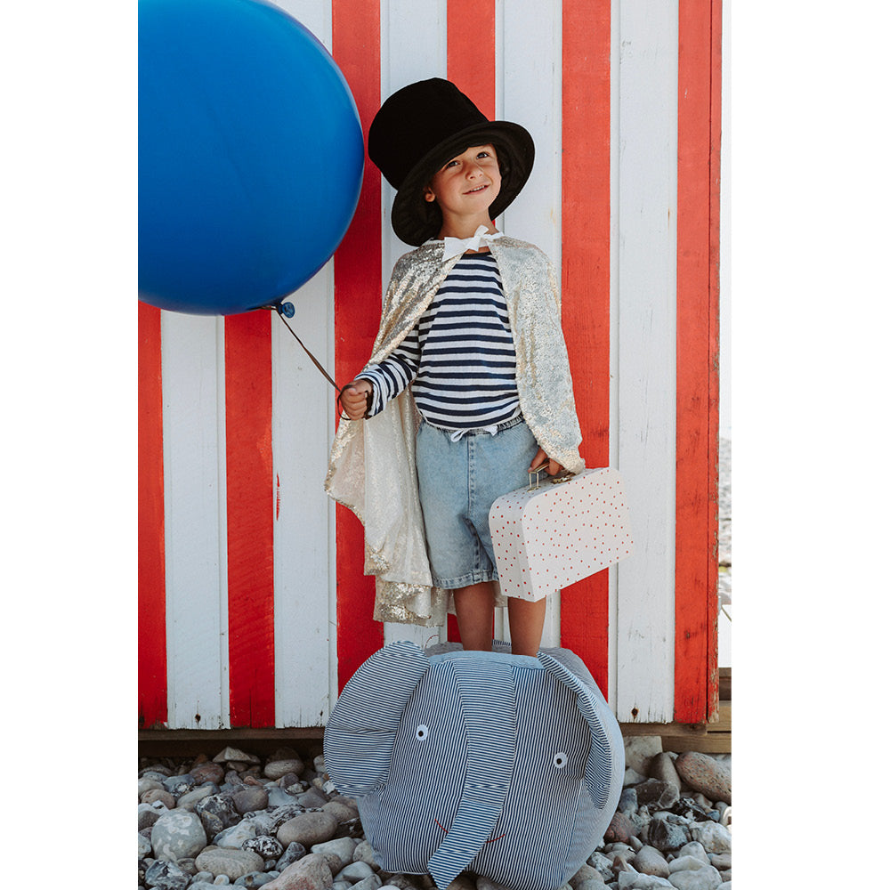 Marvins Magic tryllesett, Rabbit & Top hatt