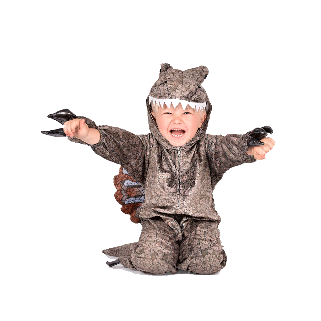 Den goda Fen dyrekostyme, Dinosaur Spinosaur jumpsuit - Str. 2-6 år