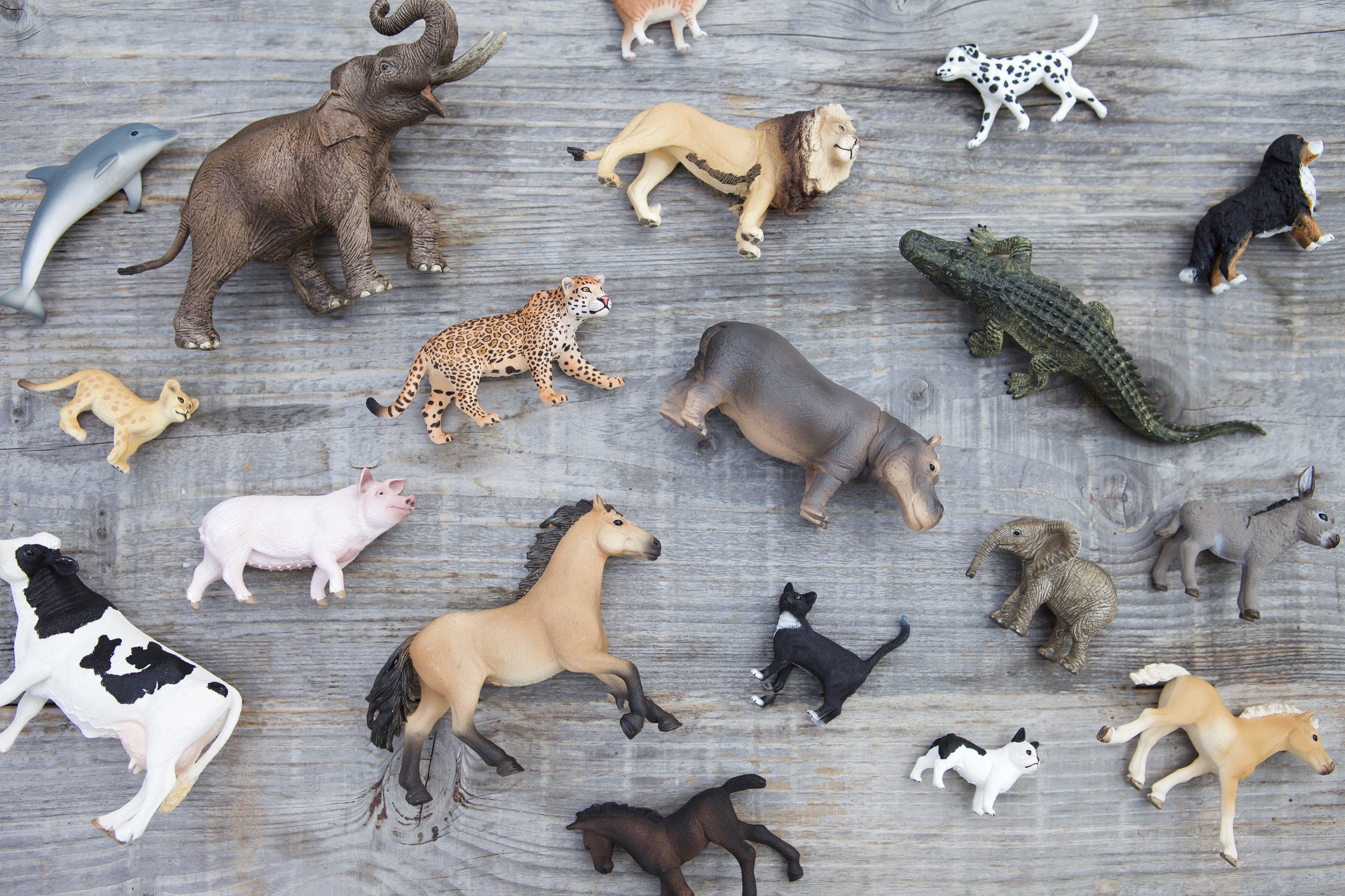 Schleich dyrefigurer på træbaggrund, en mangfoldighed af dyr samlet