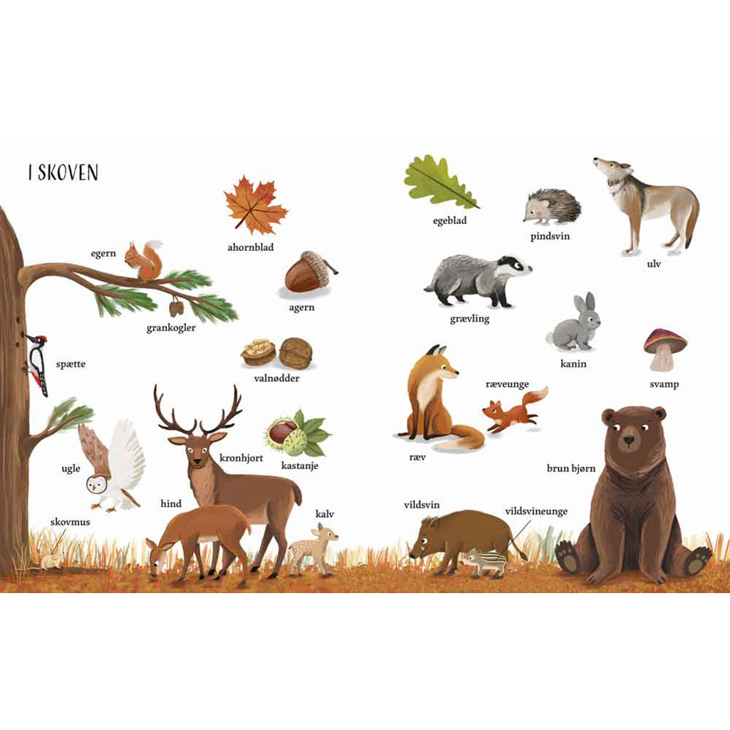 Forlaget Bolden, Jeg ser på: Naturen med min store bildebok