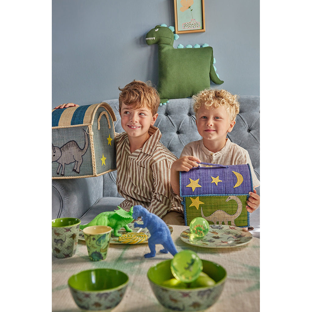 Rice kurvhus til oppbevaring, Ekstra small, grønn - Dinosaurtema