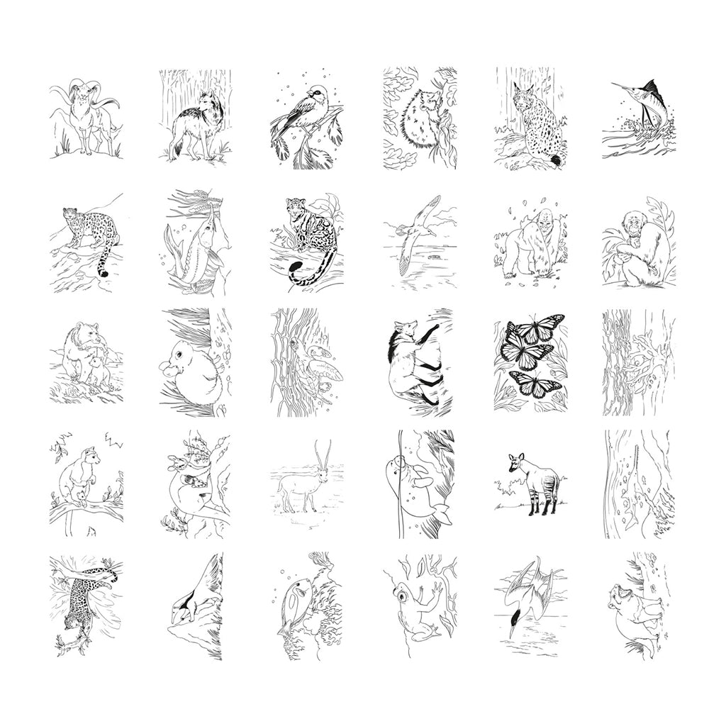 Kidywolf Kidydraw, tegnebrett med lys og sjablonger - Animals