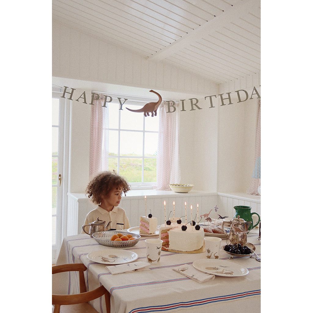 Konges Sløjd Festpakke, Dino kit - 8 personer