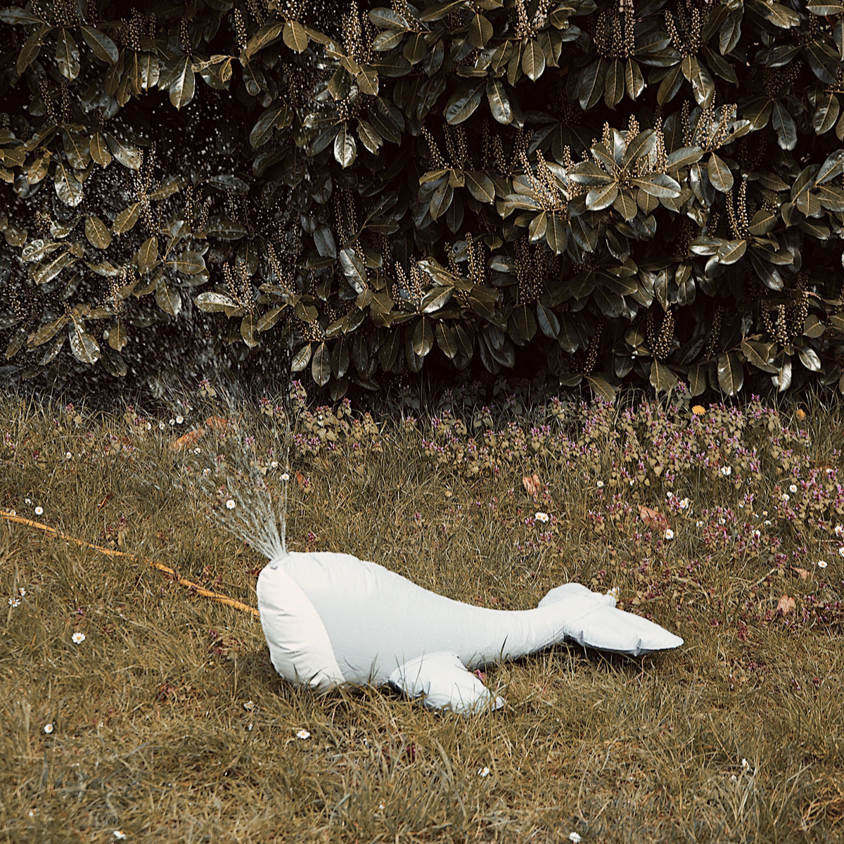 Konges Sløjd oppblåsbart sprinkleranlegg, Hval