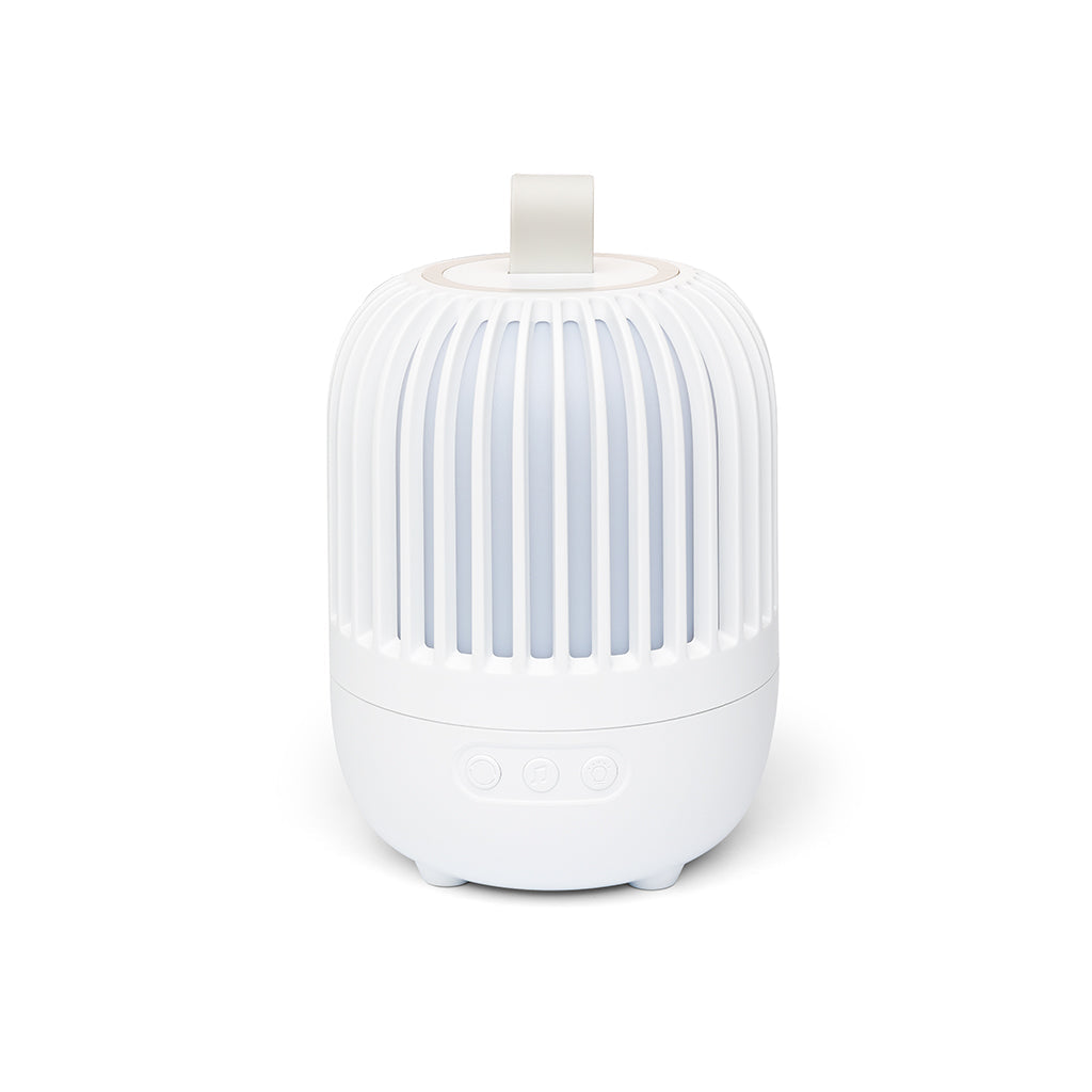 Little L, Lys- og musikkprojektor