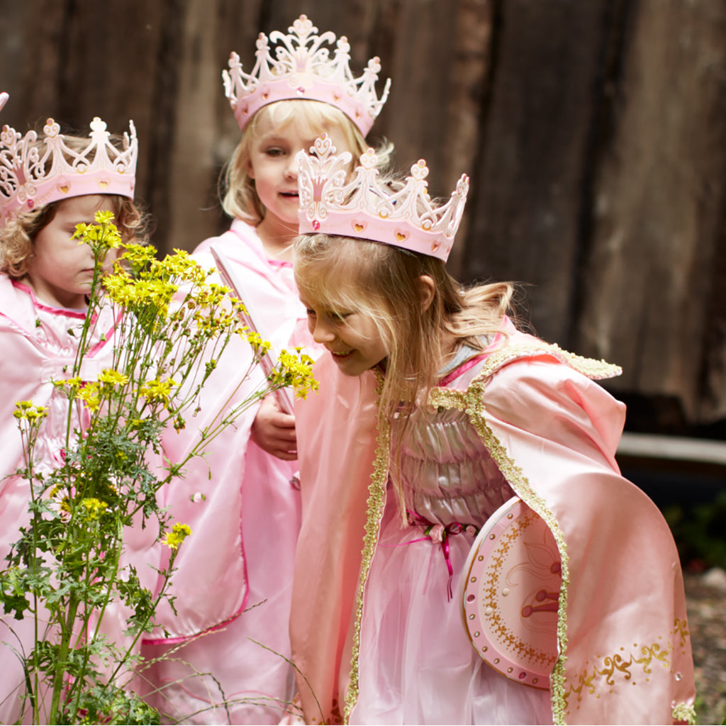 Liontouch dronningkappe, Queen Rosa Kappe