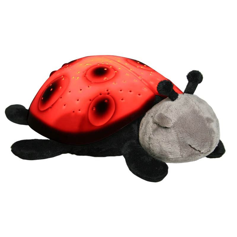 Nattlampe som danner stjernehimmel, marihøne - rød