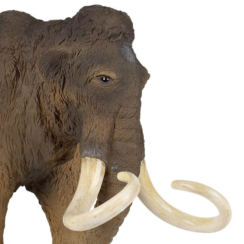Papo mammut