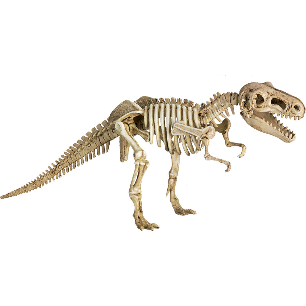 Spiegelburg, Utgravingssett - T-Rex