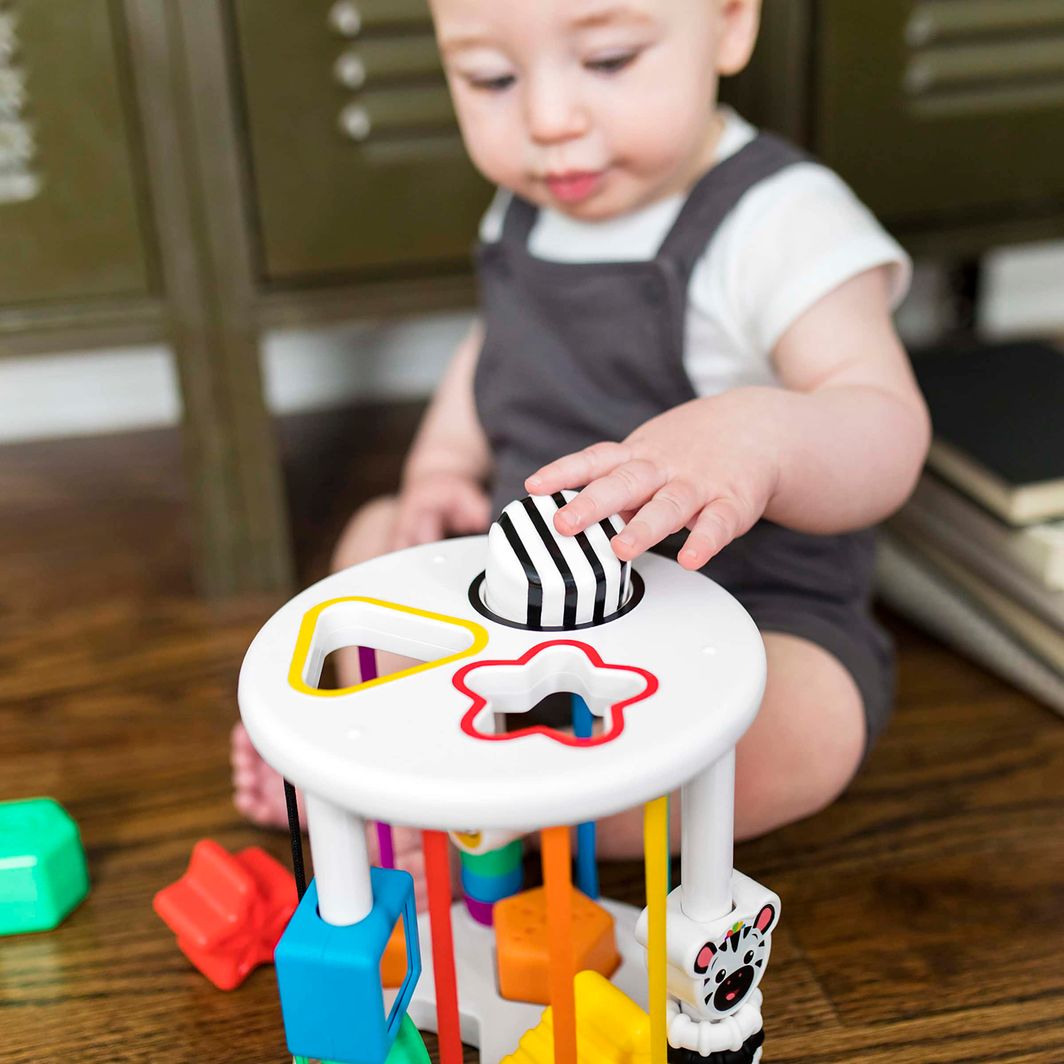 BABY EINSTEIN Baby Einstein Zen & Cal’s Playground™ sensorisk sorteringsleketøy