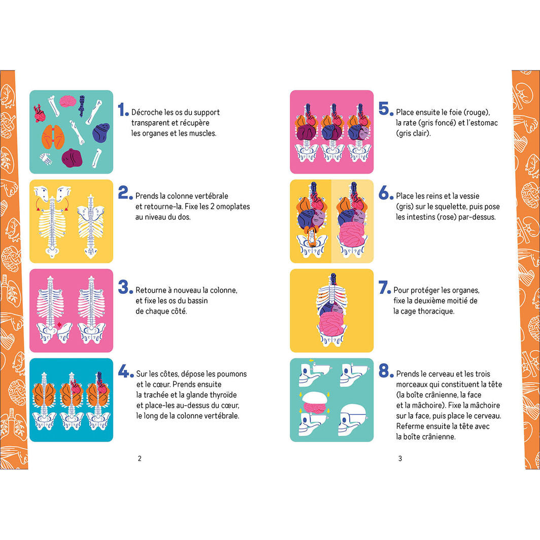 Auzou Aktivitetsboks, Utforsk kroppen