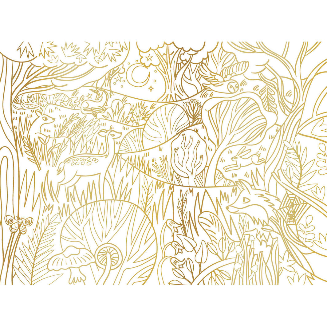 Auzou Fargebok, Fortryllende motiver