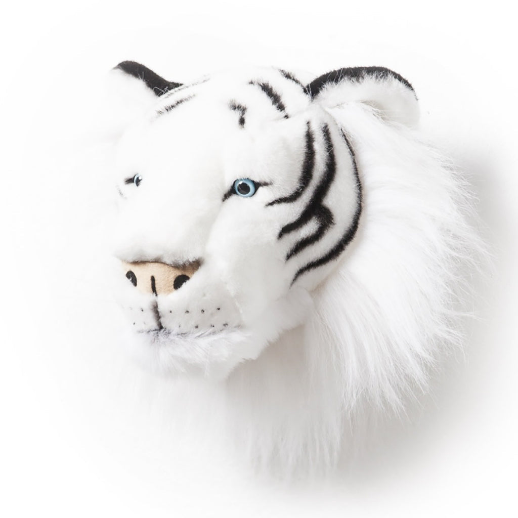 Dyretrofé til veggen, Hvit tiger