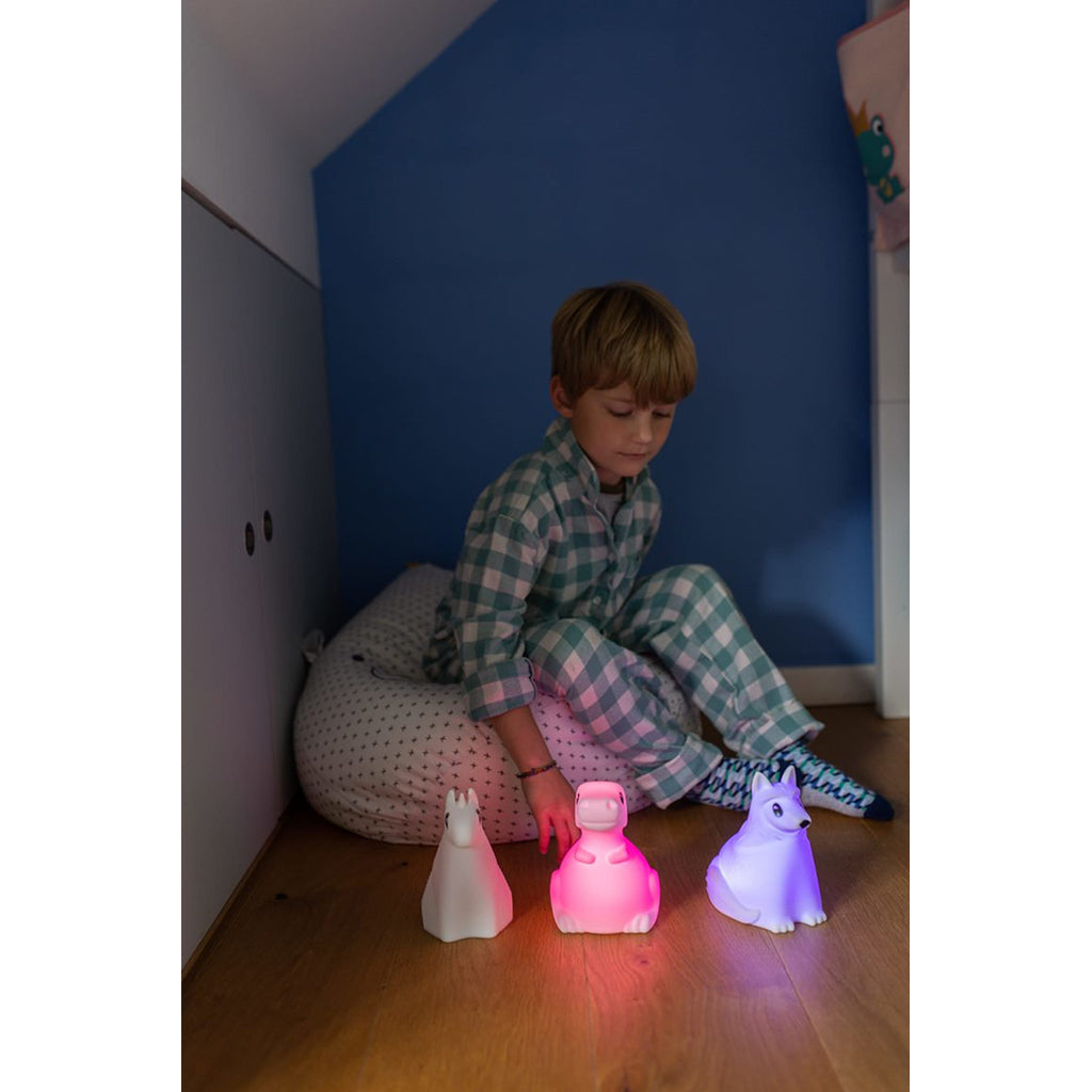 Kidynight, oppladbar nattlampe – Dino