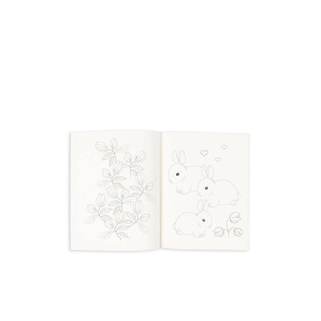 Konges Sløjd Malebok og farver, Mizumi