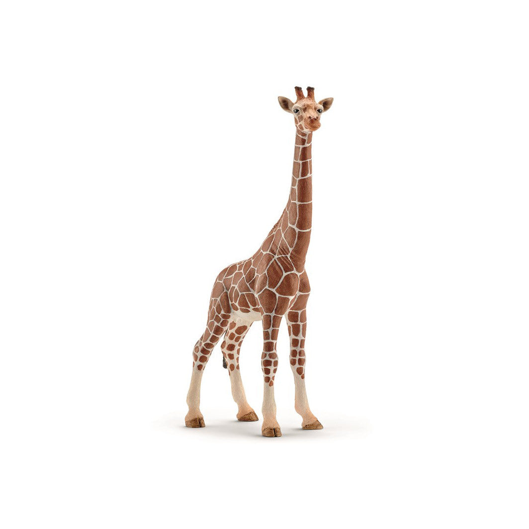 Schleich hungiraff