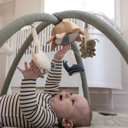 Sebra babyleker