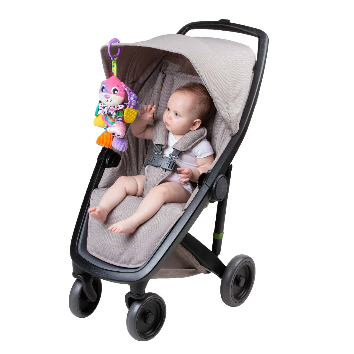 Playgro Dixie babyleketøy, aktivitetslekehund med oppheng