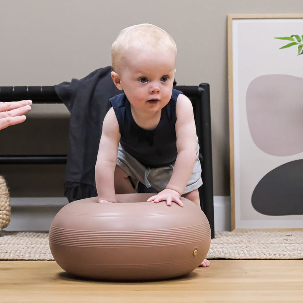 bObles Donut, Walnut
