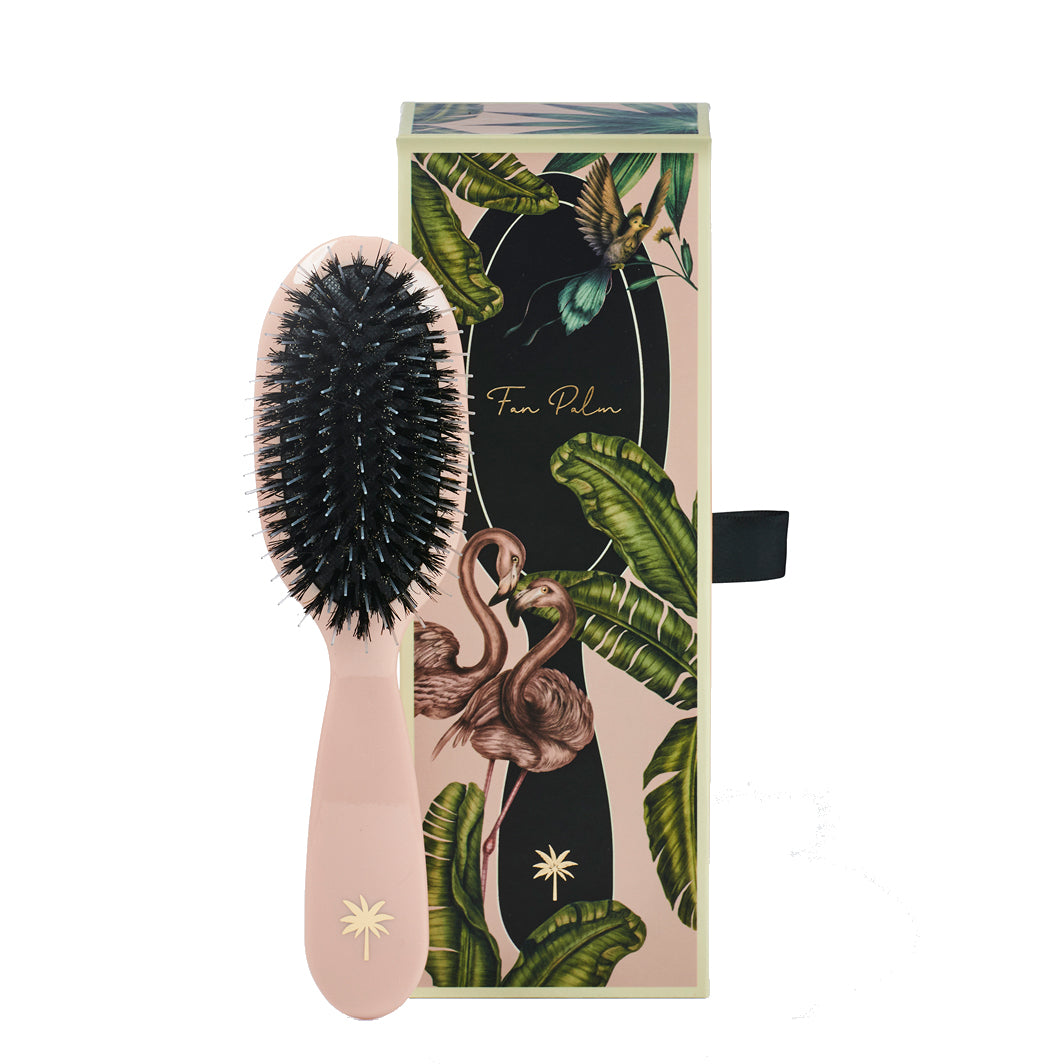 Fan Palm hårbørste, Paradise - Small