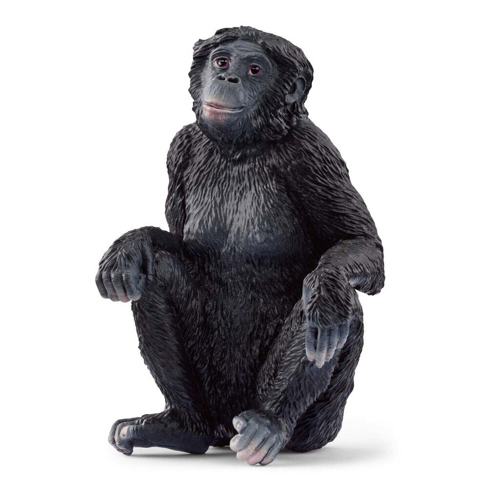 Schleich Bonobo hun abe siddende på hvid baggrund