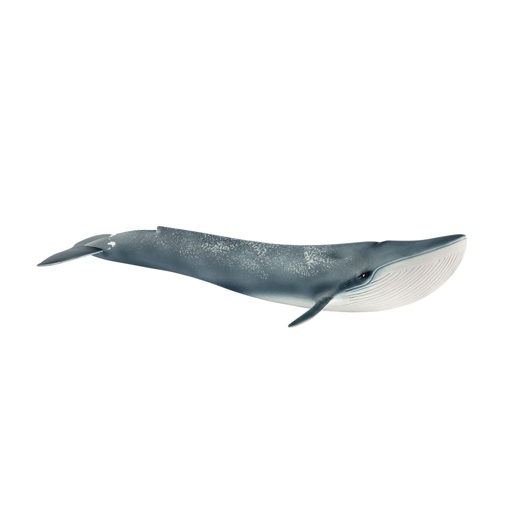 Schleich blåhval