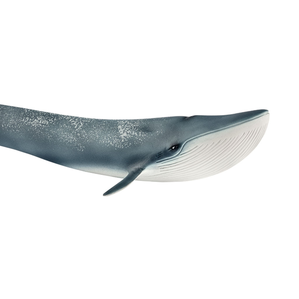 Schleich blåhval