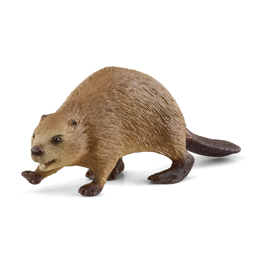Schleich bever