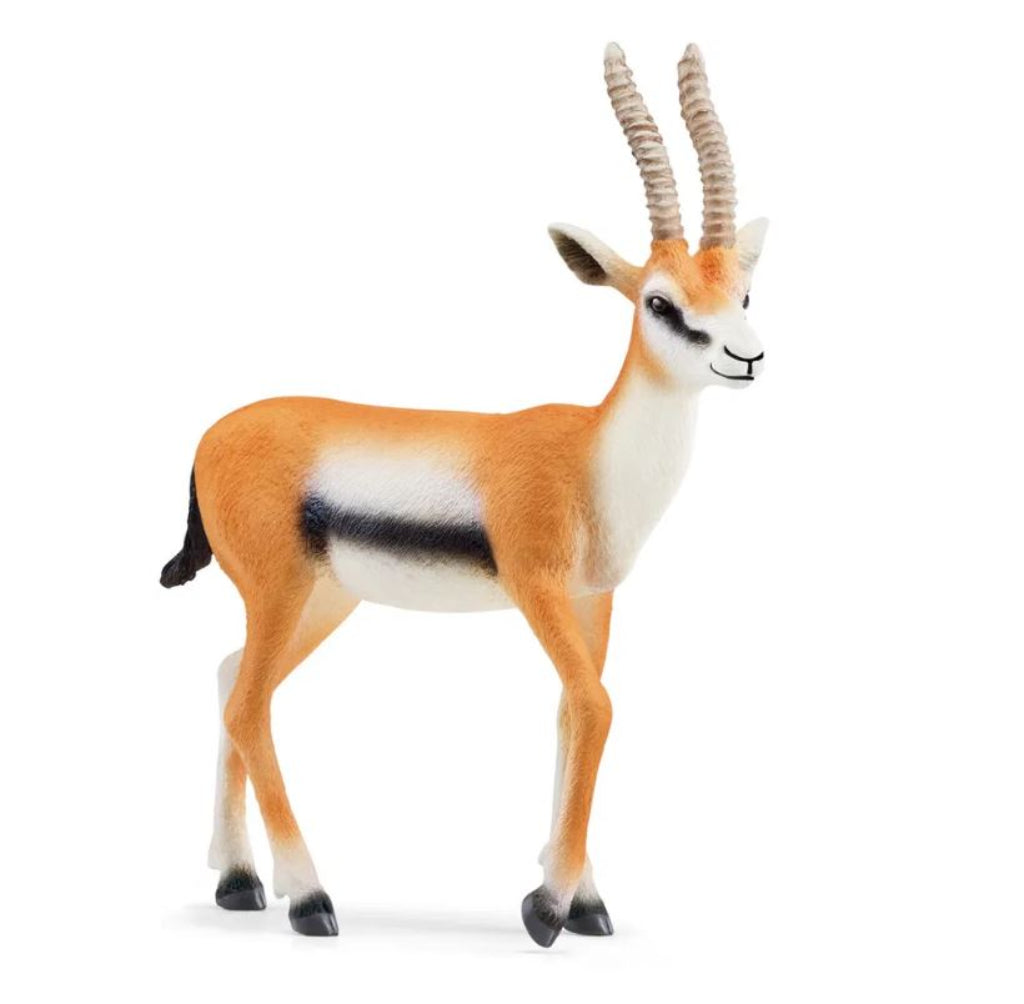 Schleich gaselle
