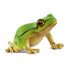 Schleich Europæisk løvfrø