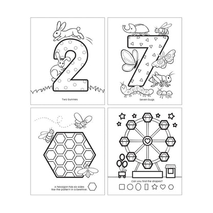 Ooly Malebok, Former og tall