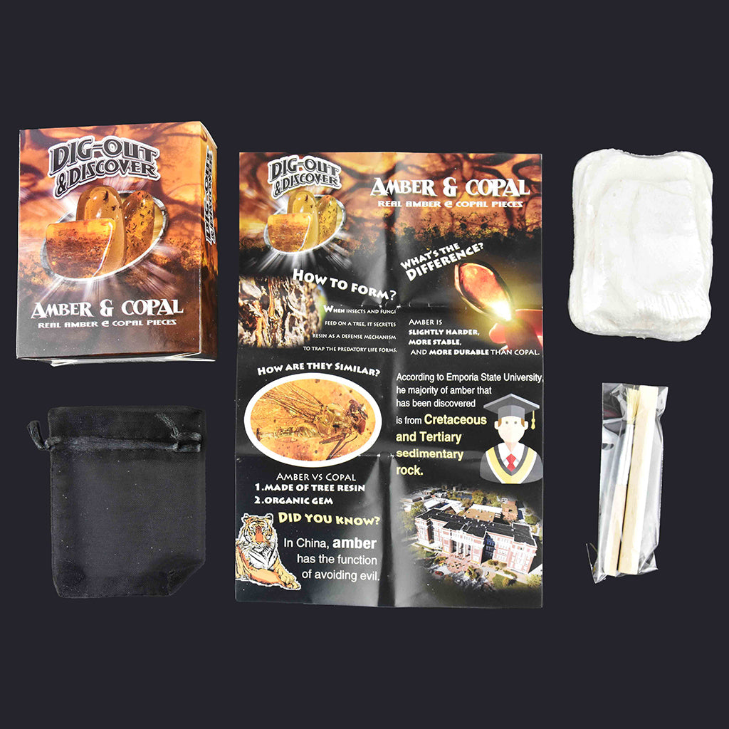 Robetoy grav ut og finn og-find, assorterete funn