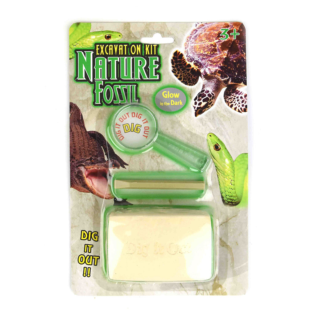 Robetoy hakk-og-finn, naturfossiler - Glow ind the dark