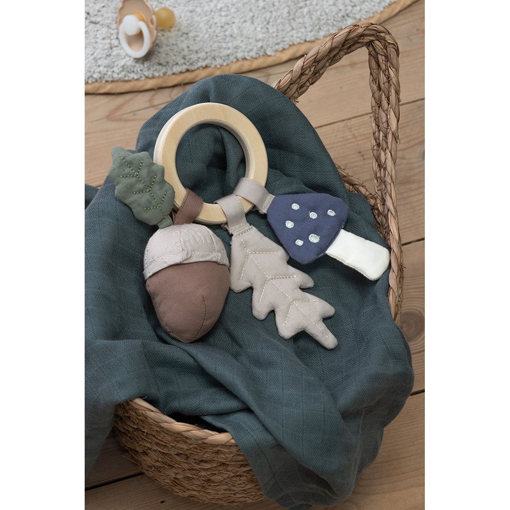 Sebra rangle med blad, sopp og eikenøtt