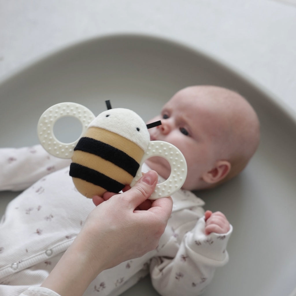 Sebra Aktivitetsrangle med speil, bien Billy