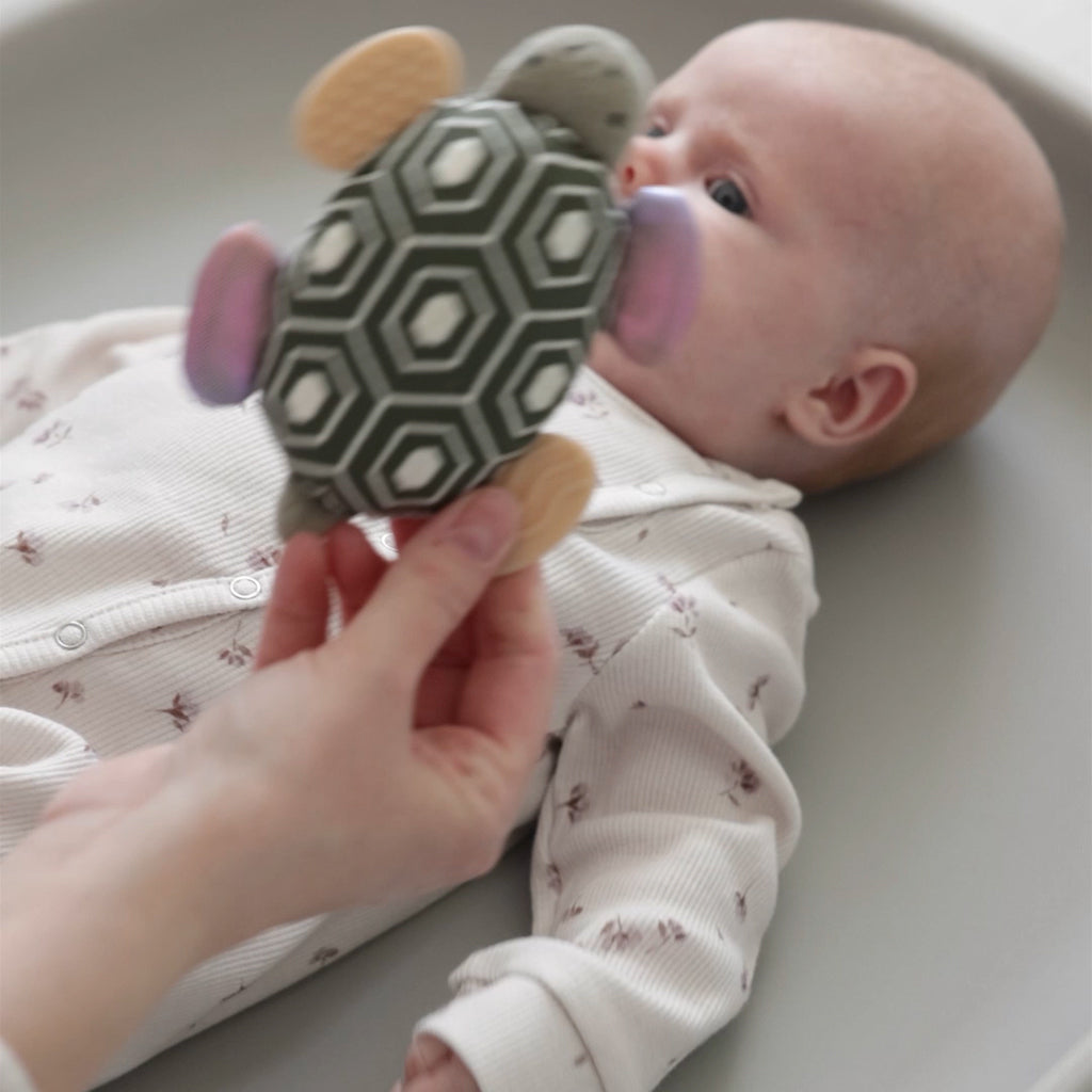 Sebra Aktivitetsrangle med speil, skilpadden Turbo